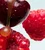 Glazed Cherry