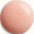 03 - Rose Coquille
