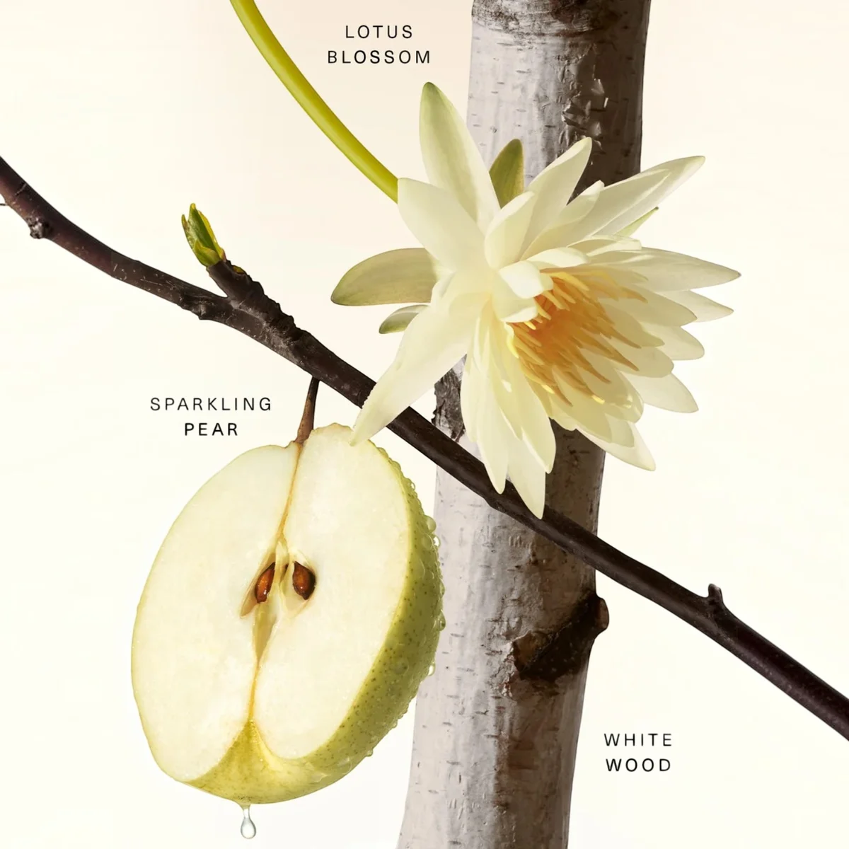 Rare Beauty Fragrance Layering Balm — фото 2